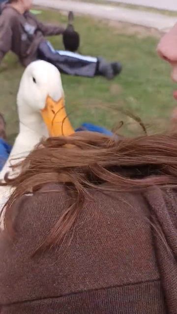What's In My Hair!?? 🧐😳 смотреть онлайн
