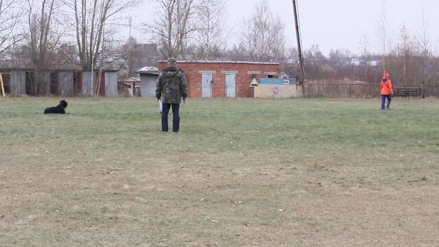 тато послушание смотреть онлайн