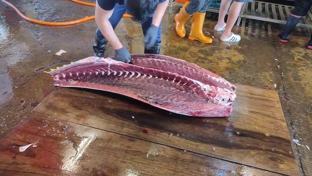 GIANT BLUEFIN TUNA 台灣黑鮪魚藍鰭金槍魚 смотреть онлайн