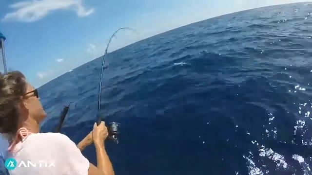 Out Of The Blue #Antix смотреть онлайн