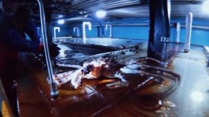 Крабы. Самый опасный промысел