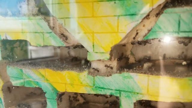 Мессор структор 65. смотреть онлайн