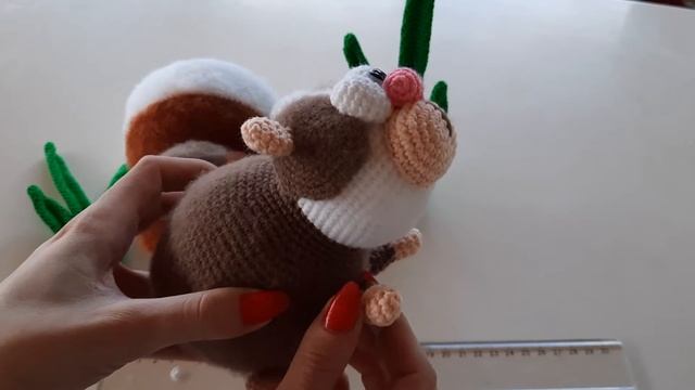 моркские свинки смотреть онлайн