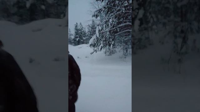 Пробиваем тропу смотреть онлайн