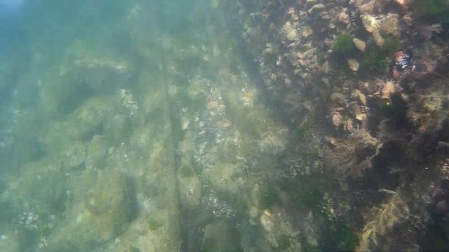 море смотреть онлайн