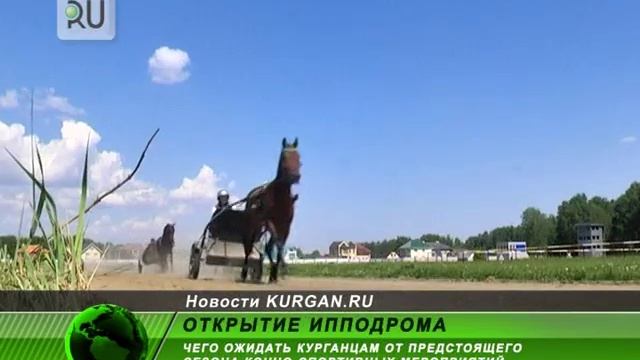 Что ждать курганцам от предстоящего конно–спортивного сезона? смотреть онлайн