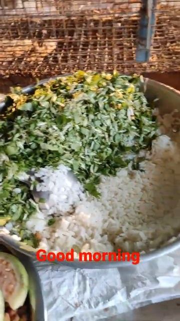 # morning dite of my bird||today soft food for my budgies & love bird's ||budgies parrot soft food. смотреть онлайн