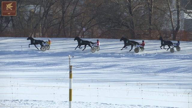 1 заезд 11 02 2023 смотреть онлайн