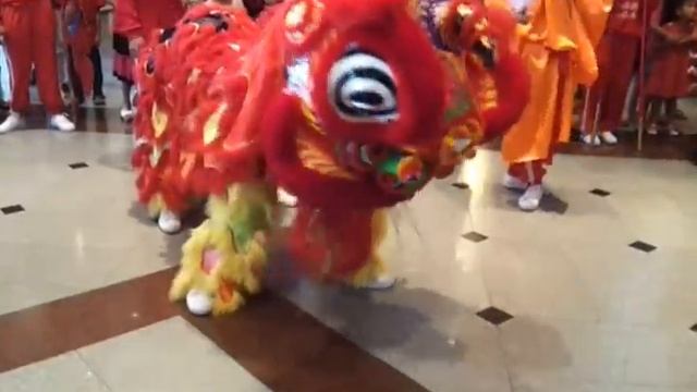 Nine's went to see Lion Dance Show @ Lao Plaza Hotel 2013 02 10 12 54 34 смотреть онлайн