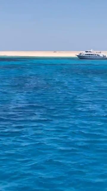 Red Sea Hungardia смотреть онлайн