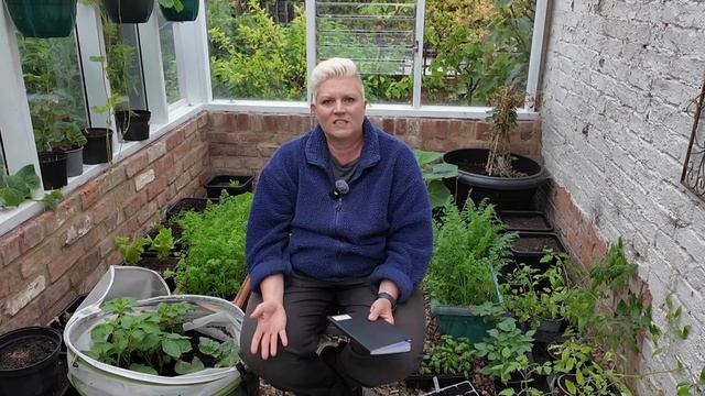 Moon Gardening schedule May 23 - 26, 2024 смотреть онлайн