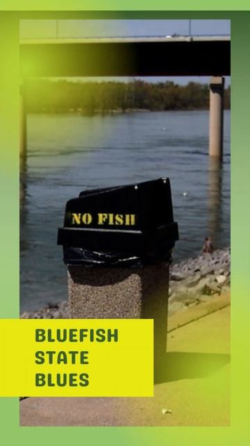 7 ‘Do Not Feed The Animals’ Signs #shorts #viral смотреть онлайн