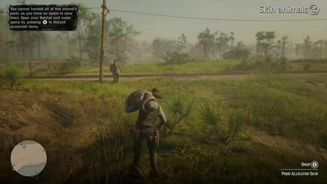 #rdr2 Skin an american aligator смотреть онлайн