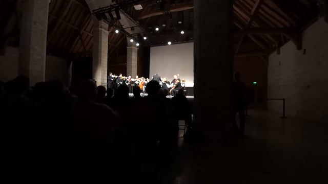 Haydn, Cello Concerto in C major, mov. 2 - Silvia Chiesa смотреть онлайн