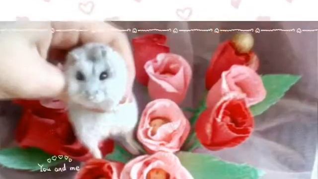 Моя девочка смотреть онлайн