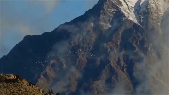 Журавли! смотреть онлайн