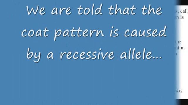 Hardy-Weinberg Equation: Worked Examples смотреть онлайн