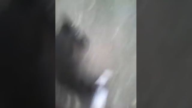 Жужа и нога смотреть онлайн