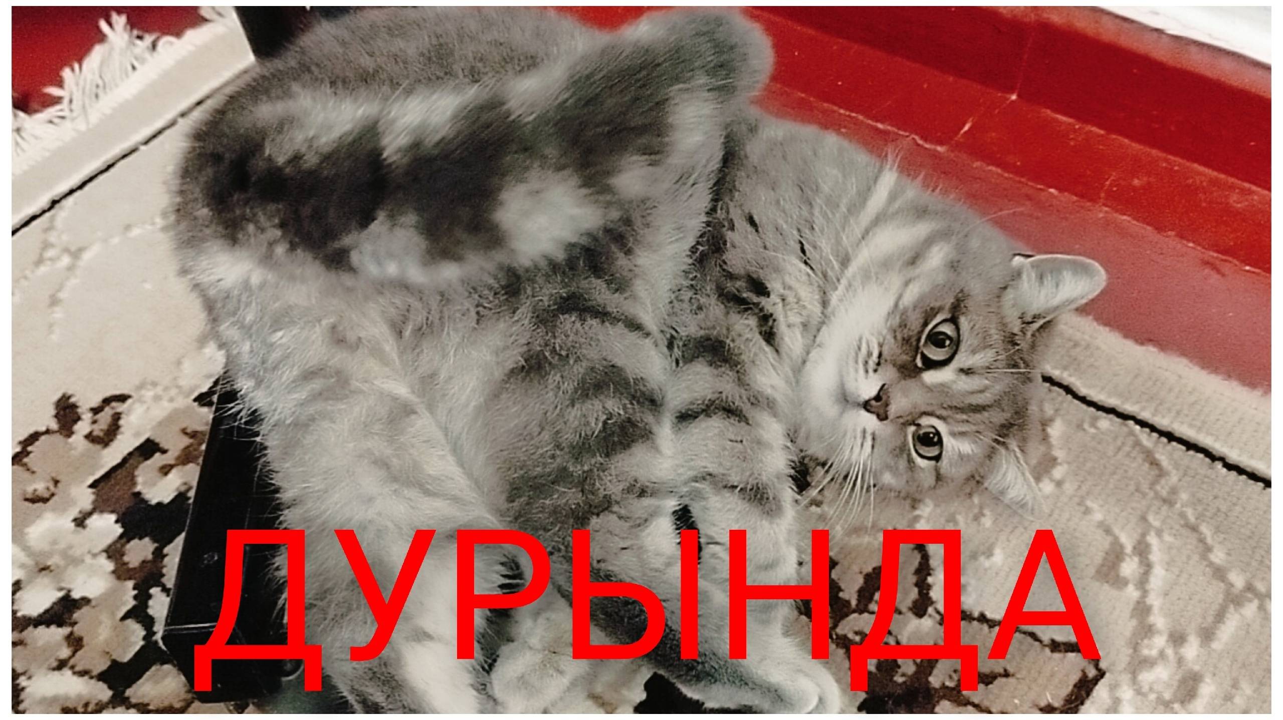 У мужа есть Любовница.Без интриг и истерик.А мне б летать... смотреть онлайн