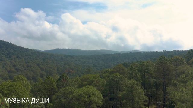 747 СЕКУНД РЕЛАКСА ПОД МУЗЫКУ БЕЗ СЛОВ 💕 смотреть онлайн