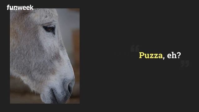 Ambra Angiolini presa di mira per la foto su Instagram: 'Hai sbagliato lato' смотреть онлайн