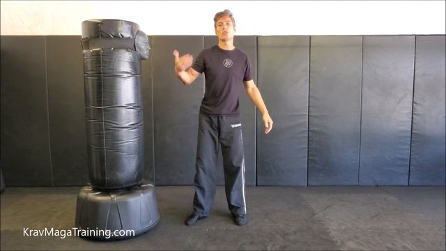 Krav Maga - Side Or Back Kick/Hammerfist (Common Mistakes To Avoid)