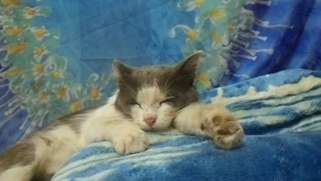 История со счастливым концом смотреть онлайн