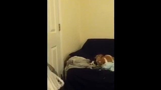 PUSSY LICKING GOOD YO!!!!