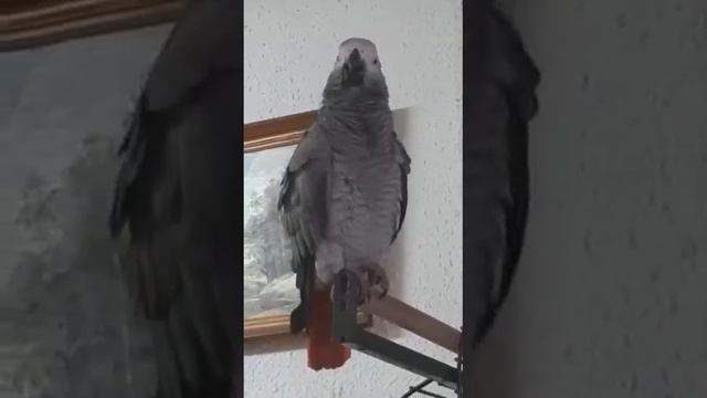 ...береги меня... смотреть онлайн