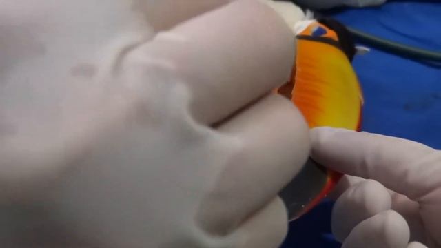 BICO para o TUCANO na IMPRESSORA 3D смотреть онлайн