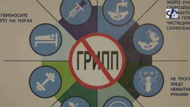 О профилактике гриппа и ОРВИ смотреть онлайн