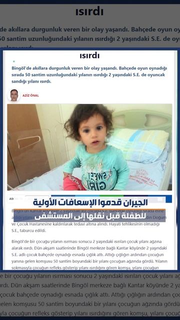 الميادين Go | طفلة تعض أفعى لدغتها смотреть онлайн