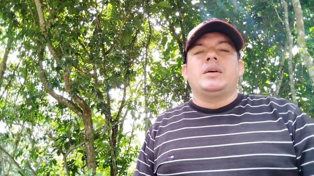 CUAL ES El MEJOR ESTIÉRCOL para ABONO ORGÁNICO/WHICH IS THE BEST MANURE FOR ORGANIC FERTILIZER? смотреть онлайн