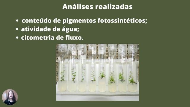 USO DE Achillea millefolium COMO BIOINSUMO NO CONTROLE DE Meloidogyne incognita смотреть онлайн