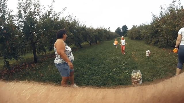 Apple Picking 2020 | Kiraly's Orchard - Ashtabula, Ohio смотреть онлайн