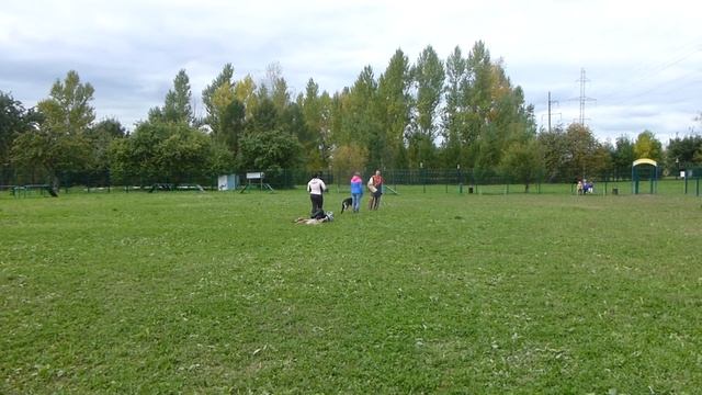 Алекс Кантэль Скарлетт. 1 - я кусачка после летних каникул. 25.09.2016. СДП - "Орехово". смотреть онлайн