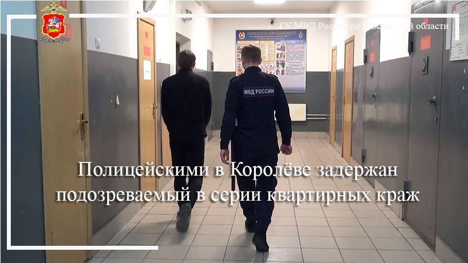 Полицейскими в Королёве задержан подозреваемый в серии квартирных краж смотреть онлайн