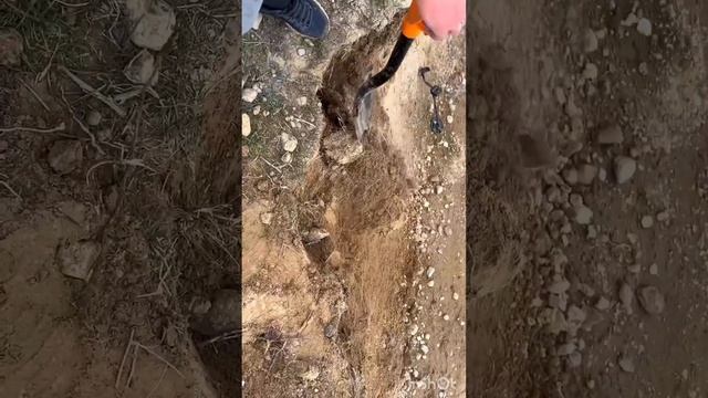 Алтын іздеу жолы-6 | Қойма іздеу аппаратын (монстр) қолдану жолы мен тәсілдері смотреть онлайн