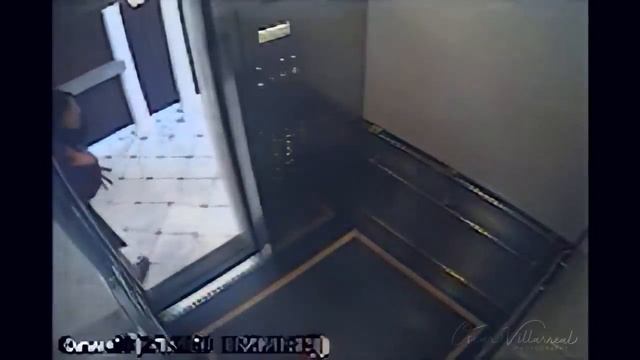 Elisa Lam 4K Elevator Video смотреть онлайн
