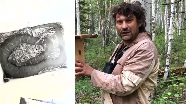 Дупло гнездо – 45 смотреть онлайн