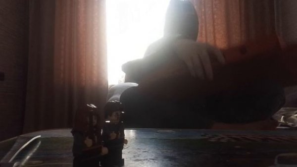 обзор на заказ dodo