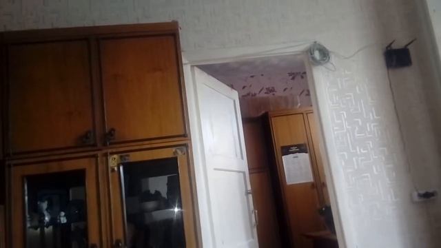Кот прыгун СИМБА. смотреть онлайн