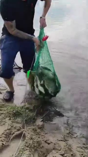 РК «Чайка» приветствует 👋Суточный улов на безлимите. смотреть онлайн