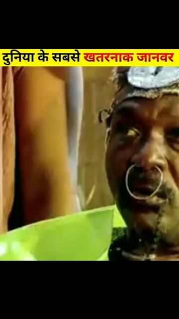 इन जानवरों को देख कर ही बेहोश जो जाओगे | piranha fish | Titanoboa | #shorts смотреть онлайн