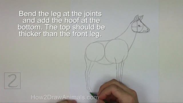 How to Draw an Okapi смотреть онлайн