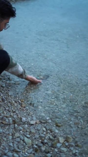 Squid Dance смотреть онлайн