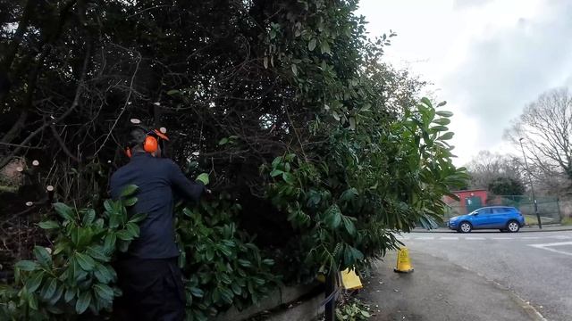 Receiving A Council Notice! We offered to help with MEGA obstruction.. смотреть онлайн