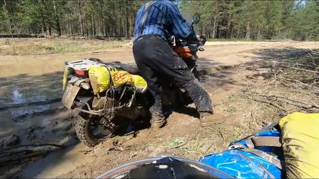 KTM FOREVER смотреть онлайн