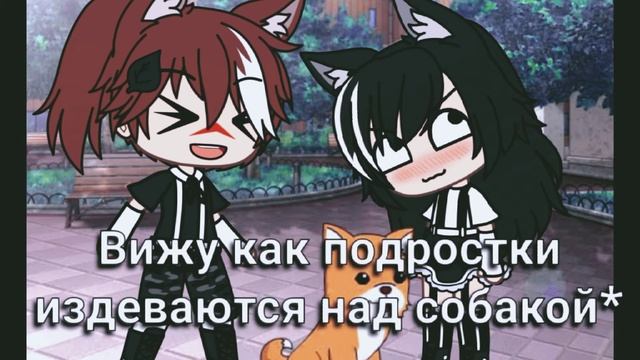 меме "Моя любовь к собакам" смотреть онлайн