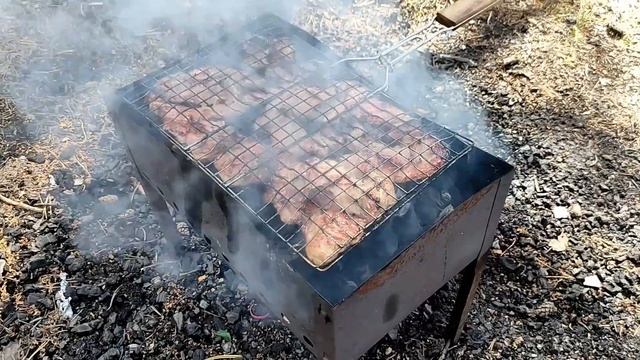 Shorts Реальный завтрак - Шашлыки на природе смотреть онлайн